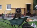 rudel (3)